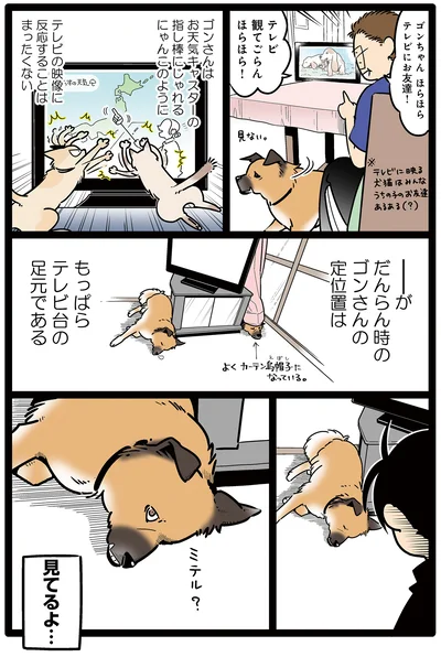 主張