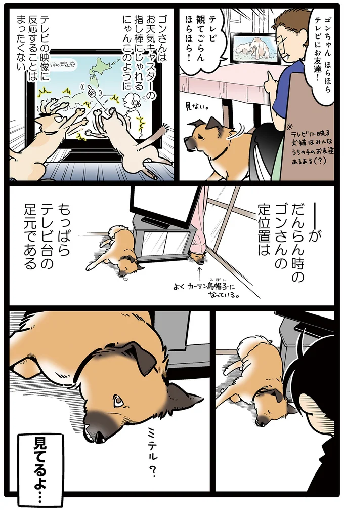 主張