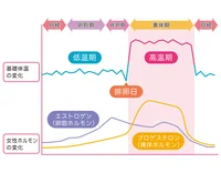 「最近ニキビが増えた」という人は要注意！ それ、生理前の女性ホルモンの乱れによるものかも！？