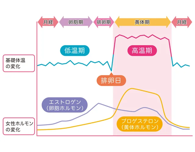 「最近ニキビが増えた」という人は要注意！ それ、生理前の女性ホルモンの乱れによるものかも！？