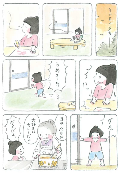 大好きなカレーだよ