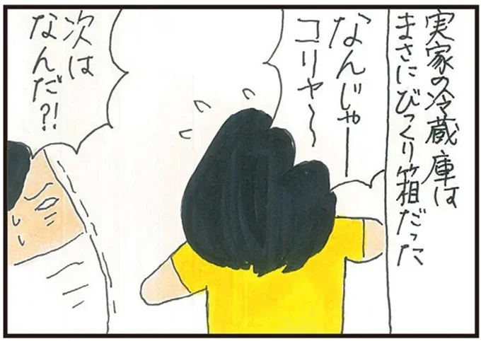 なんじゃーコリャ~