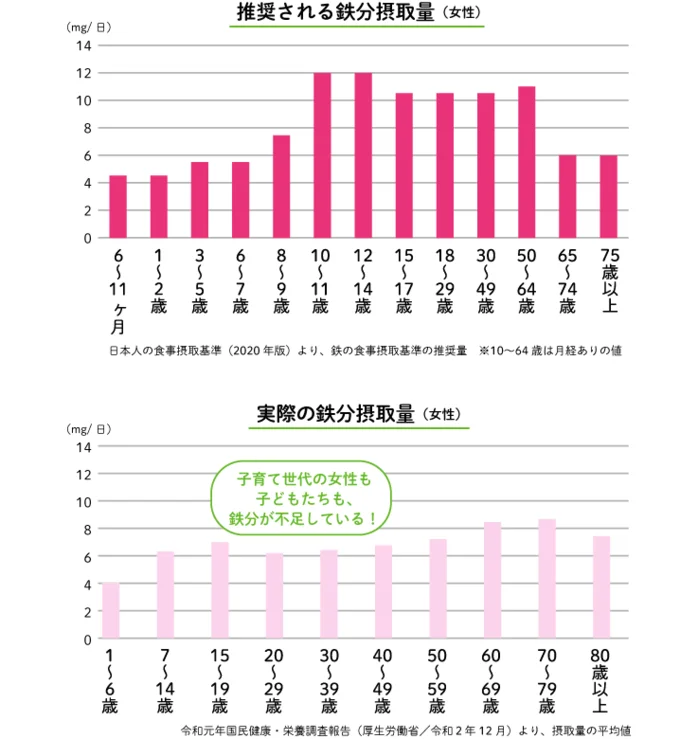 鉄分が足りていない