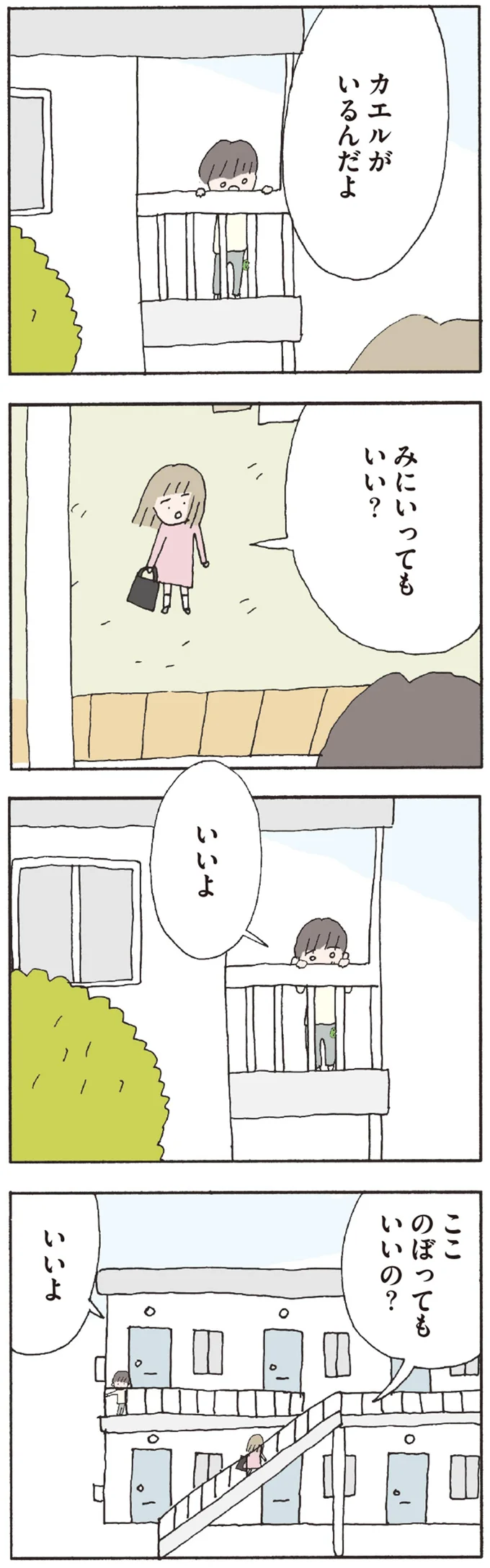 カエルがいるんだよ