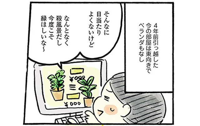 上手に育てられなかった単身生活での植物栽培。日陰に強い品種でいざリベンジ！／おひとりさまのゆたかな年収200万生活（9）