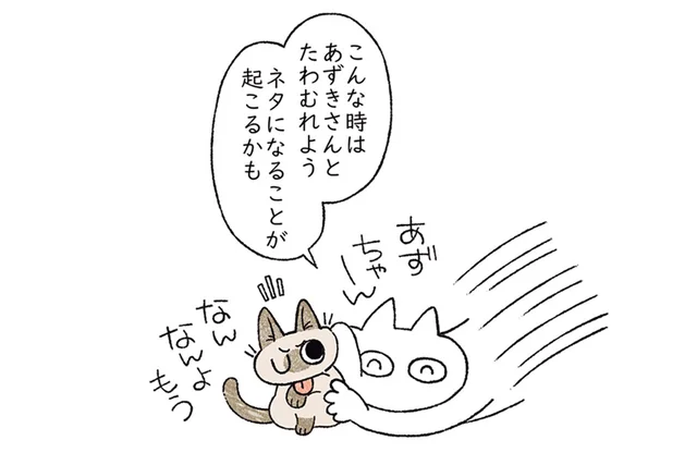 マンガのネタが欲しい！ 猫と戯れて一日が終わってしまうのはなんで？／シャム猫あずきさんは世界の中心（2）