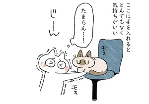 手を差し込めばハッピータイム！ とんでもなく気持ちいい猫の香箱座りの隙間／シャム猫あずきさんは世界の中心（3）