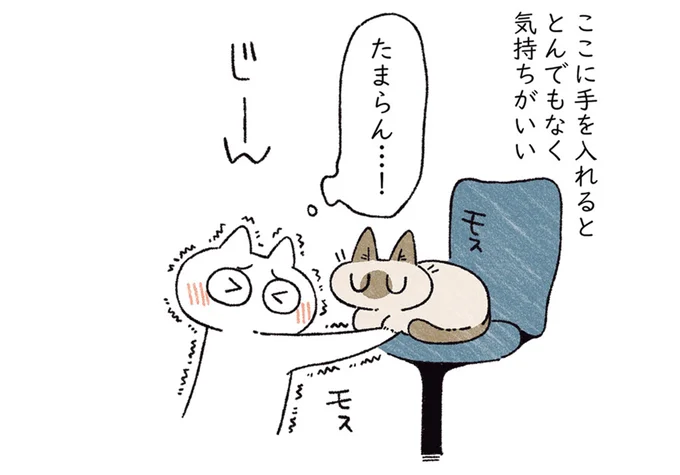 たまらん…!