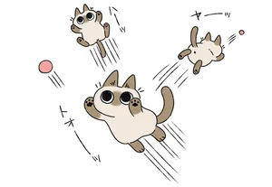 一人遊びが上手？ うちの猫にスーパーボールブームが到来／シャム猫あずきさんは世界の中心（8）