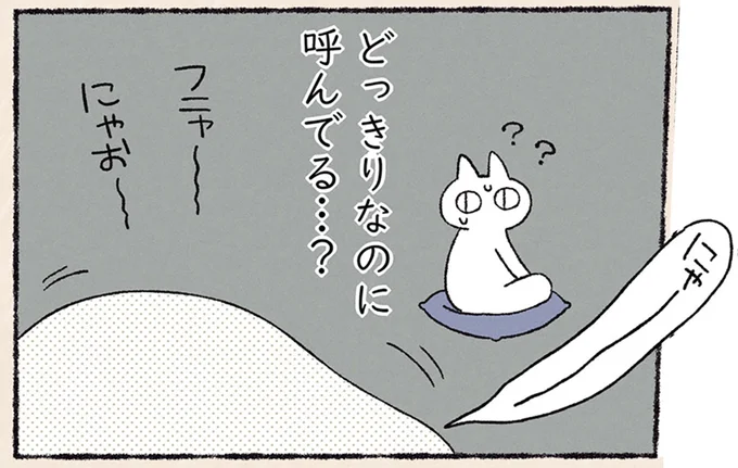 どっきりなのに呼んでる…?