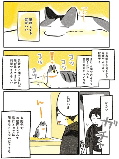 猫はとても耳がいい