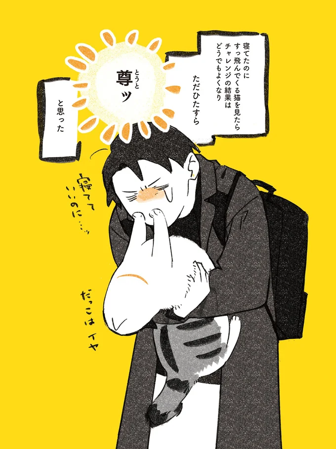 尊ッ