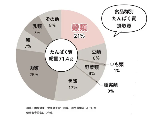 穀類は立派なたんぱく源