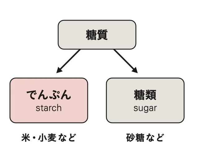  糖質はふたつに分けられる