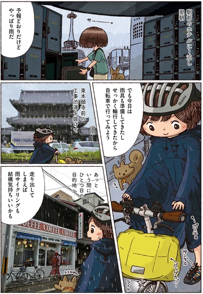 やっぱり雨だ