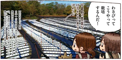 こうやって栽培するんだ！