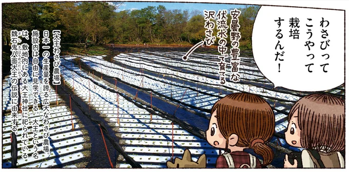 こうやって栽培するんだ！