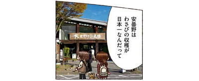 わさびの収穫が日本一なんだって