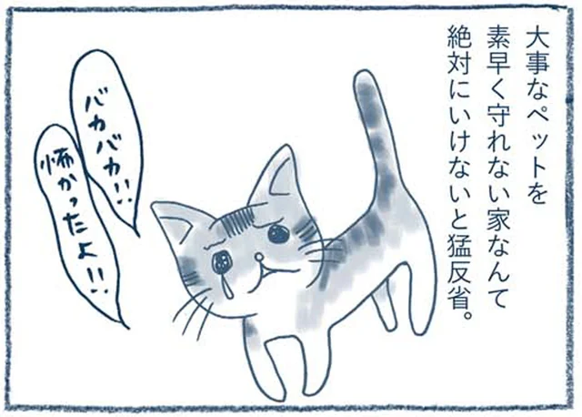 大地震で壊れかけた家。汚部屋であることを激しく後悔した日／わたしのウチには、なんにもない。（9）