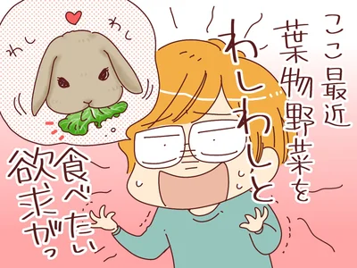 レタスをもりもり食べたい