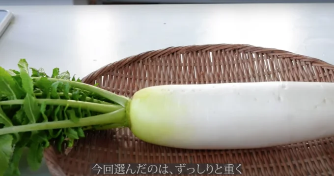 ひげ根の位置が揃い光沢のある大根