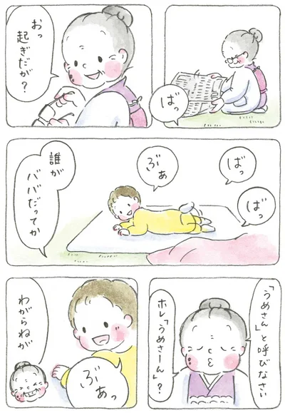 『梅さんと小梅さん おばあちゃんとの春夏秋冬』より
