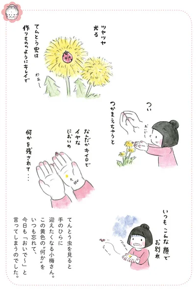 『梅さんと小梅さん おばあちゃんとの春夏秋冬』より