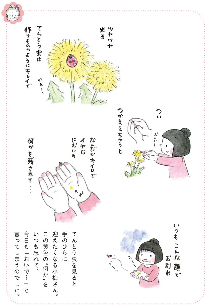 『梅さんと小梅さん おばあちゃんとの春夏秋冬』より
