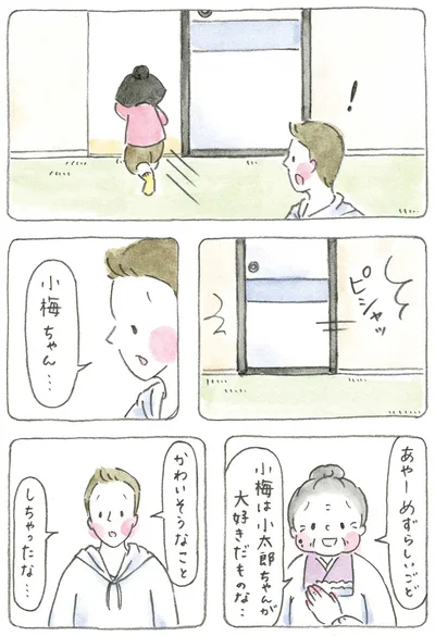 『梅さんと小梅さん おばあちゃんとの春夏秋冬』より