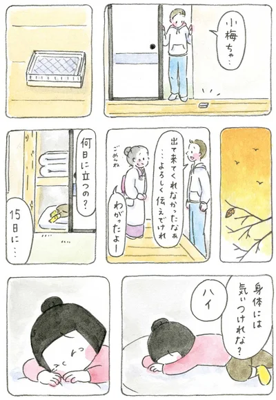 『梅さんと小梅さん おばあちゃんとの春夏秋冬』より