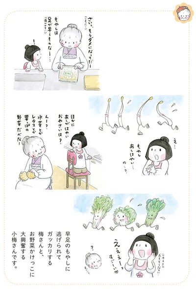 『梅さんと小梅さん おばあちゃんとの春夏秋冬』より