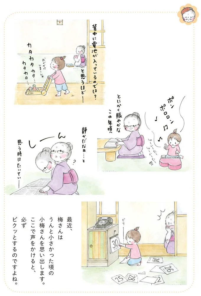 『梅さんと小梅さん おばあちゃんとの春夏秋冬』より