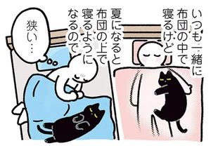 どうやって安眠を確保する？夏でも一緒に寝たい黒猫／黒猫ろんと暮らしたら4（11）