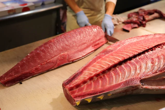 増える養殖マグロ、激減する天然マグロ。業界人はいかなる知恵で乗り切るのか？