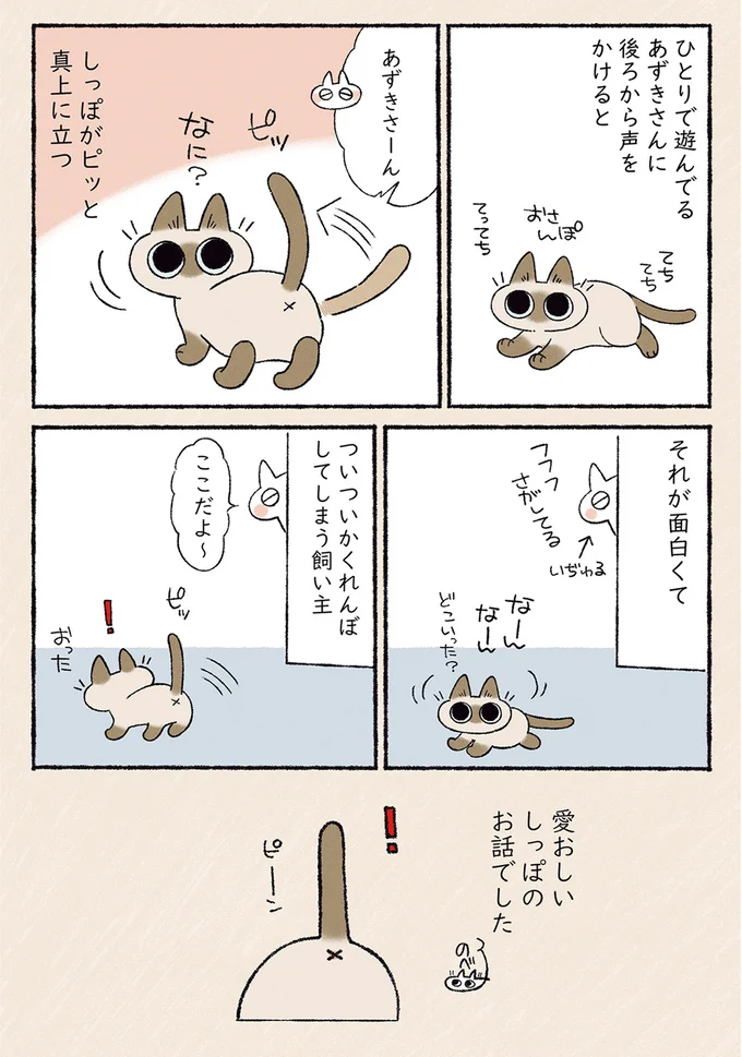 愛おしいしっぽのお話