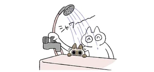 入浴は嫌いだがお風呂場は好きな猫。お湯があたると大パニック!?／もっと!!シャム猫あずきさんは世界の中心（10）