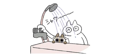 シャワ～～～