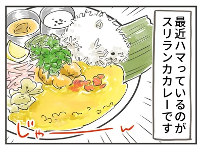 最近ハマっているのがスリランカカレーです