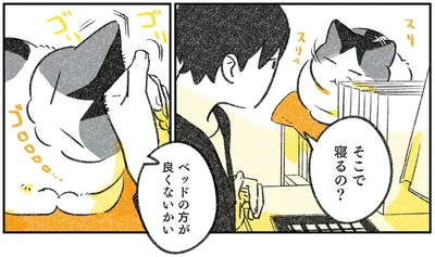 そこで寝るの？