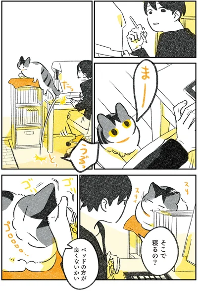 ベッドの方が良くないかい