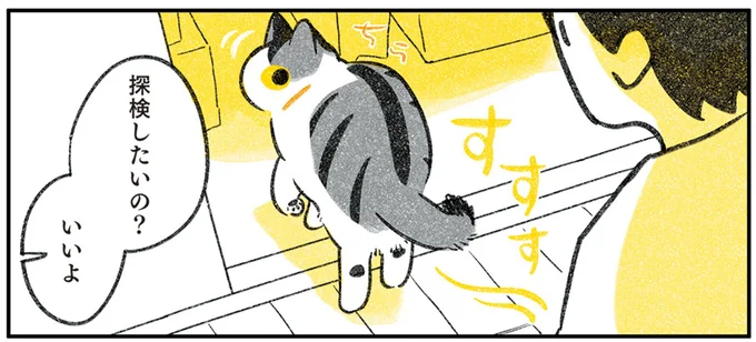 探検したいの?