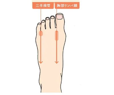むくみにはリンパ腺と三半規管のゾーンを親指で刺激