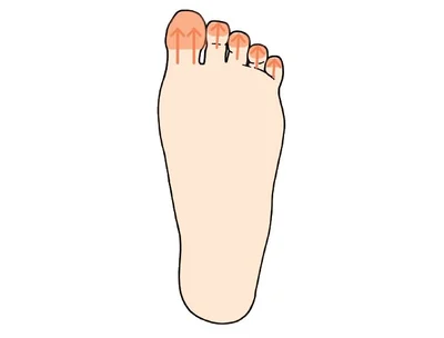 眠れないときは親指全体と前頭洞のゾーンを手の親指で刺激