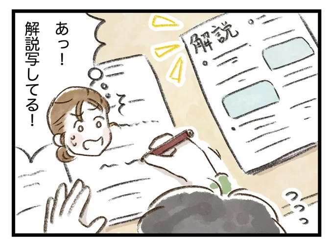 解説写してる!