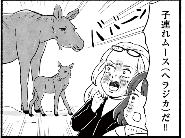 散歩に出るのも危険がいっぱい!? アラスカの洗礼を受けた気がした日／アラスカワイルドファミリー【傑作選】（4）