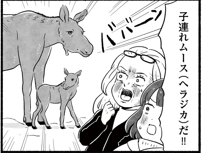 子連れムースだ!!