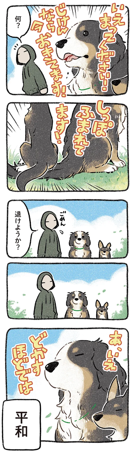 うちの犬は雨男? 夜の散歩をねだる犬に負けた日の話/ドベと うちの犬は雨男? 夜の散歩をねだる犬に負けた日の話/ドベと