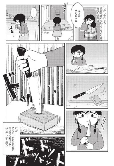 『なんで私が不倫の子-汚部屋の理由と東大の意味』より