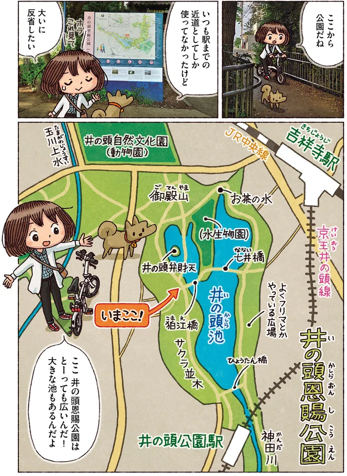 井の頭公園はとーっても広いんだ！