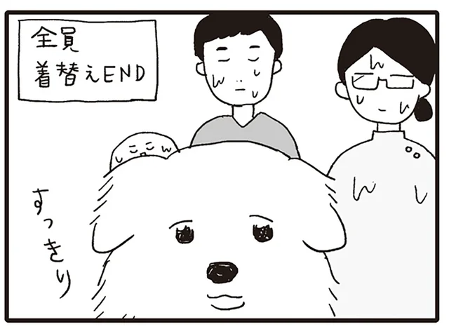犬はすっきり、スタッフはびしょびしょ!? 超大型犬の診察は難易度MAX／いぬねこ動物病院日記（3）